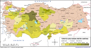 Türkiye Kuru Soğan Haritası (2017)