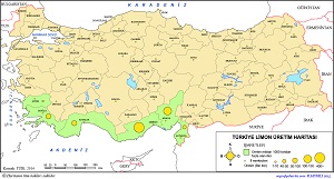 Türkiye Limon Üretim Haritası
