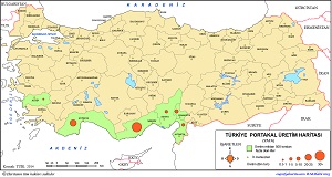 Türkiye Portakal (Yafa) Üretim Haritası