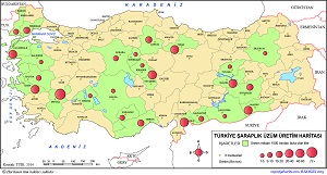 Türkiye Şaraplık Üzüm Üretim Haritası 