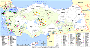 Türkiye Şaraplık Üzüm Türleri Haritası