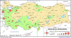 Türkiye Şeftali Üretim Haritası