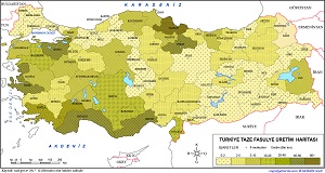 Türkiye Taze Fasulye Üretim Haritası (2017)
