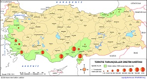 Türkiye Turunçgil Üretim Haritası 2014