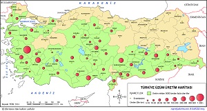 Türkiye Üzüm Üretim Haritası