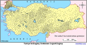 Türkiye Buğday Üretim Haritası