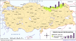 Türkiye Çay Üretim Haritası