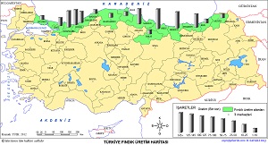 Türkiye Fındık Üretim Haritası