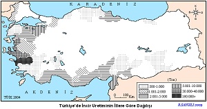 Türkiye İncir Üretim Haritası