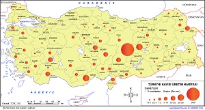 Türkiye Kayısı Üretim Haritası