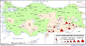 Türkiye Kırmızı Mercimek Üretim Haritası