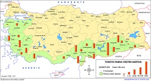 Türkiye Pamuk Üretim Haritası