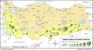 Türkiye Pamuk Üretim Haritası (2015)