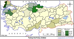Türkiye Pirinç Üretim Haritası