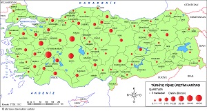 Türkiye Vişne Üretim Haritası