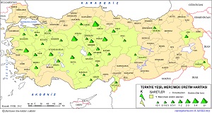 Türkiye Yeşil Mercimek Haritası