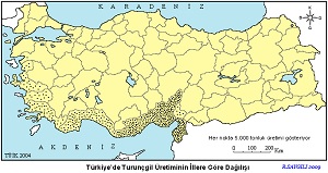 Türkiye Turunçgil Üretim Haritası