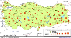 Türkiye'de Beslenen Koyun Haritası (2017)