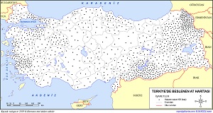 Türkiye'de Atın Dağılış Haritası 2019