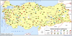 Türkiye Hayvancılık Haritası 2019