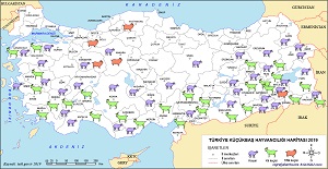 Türkiye Küçükbaş Hayvancılığı Dağılış Haritası 2019