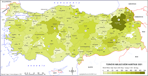 Türkiye Melez Sığır Haritası 2021