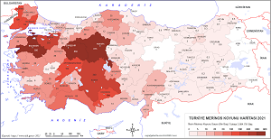 Türkiye Merinos Koyunu Haritası 2021