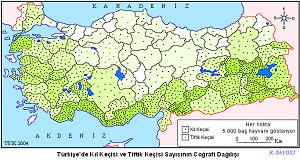 Türkiye Tiftik ve Kıl Keçisinin Dağılış Haritası 2