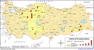 Türkiye'de Beslenen Tiftik Keçisinin Dağılış Haritası