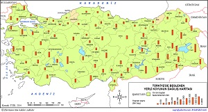 Türkiye'de Beslenen Yerli Koyunun Dağılış Haritası