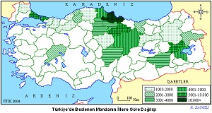 Türkiye'de Beslenen Mandanın Dağılış Haritası