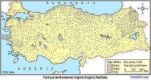 Türkiye'de Beslenen Melez Kültür Yerli Sığırın Dağılış Haritası