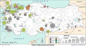 Türkiye Termik Santralleri Haritası