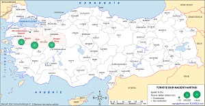 Türkiye Bor Madeni Haritası
