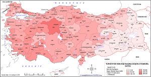 Türkiye'de Kişi Başına Düşen Otomobil Sayısı