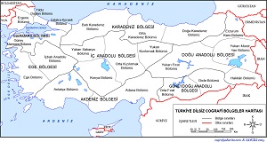 Türkiye Coğrafi Bölge ve Bölümleri Haritası (Tek Renk)