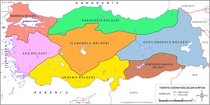 Türkiye Coğrafi Bölge ve Bölümleri Haritası